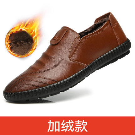 2020年11月29日更新【万能白菜价】的图片 第111张