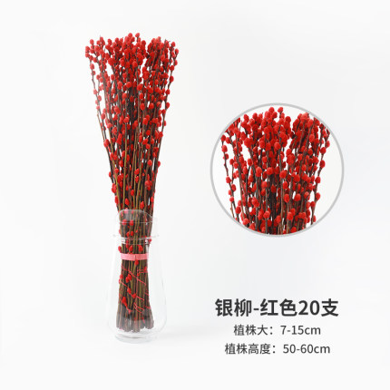 2021年1月18日更新【万能白菜价】的图片 第1张