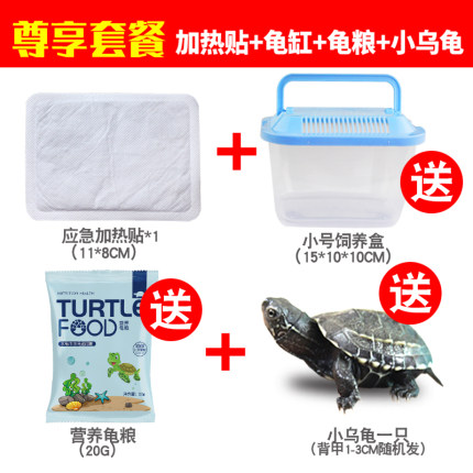 2020年11月29日更新【万能白菜价】的图片 第108张