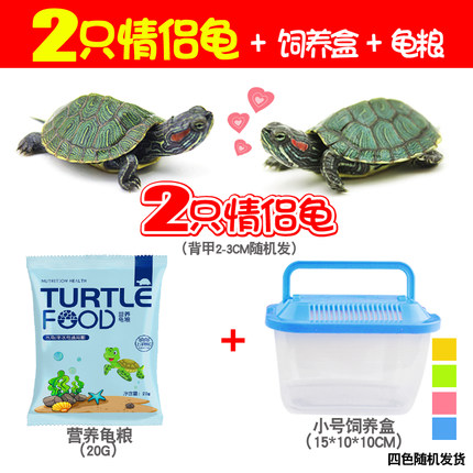 2021年3月3日更新【万能白菜价】的图片 第140张