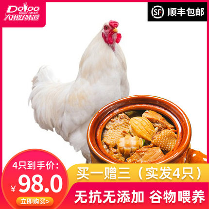 2020年7月8日更新【万能白菜价】的图片 第1张
