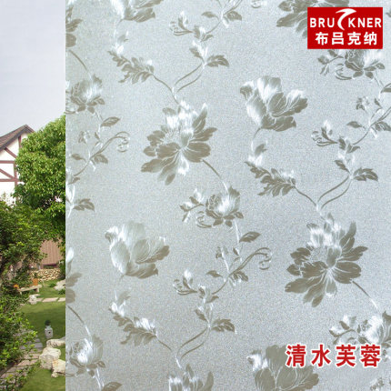 2020年11月29日更新【万能白菜价】的图片 第67张