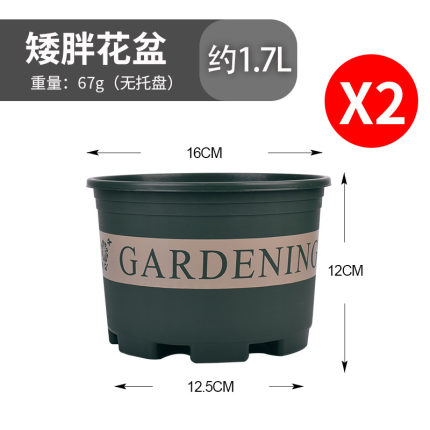 2021年3月2日更新【万能白菜价】的图片 第160张