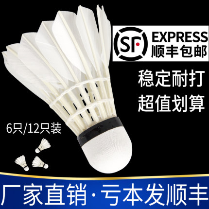 2020年11月26日更新【万能白菜价】的图片 第10张