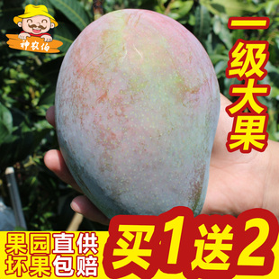 ݰǼ1617˼7.9ţײ68