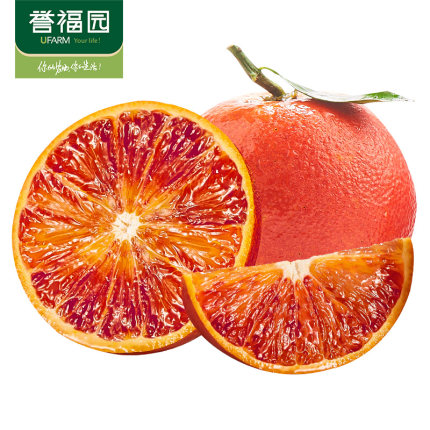 2021年3月2日更新【万能白菜价】的图片 第63张