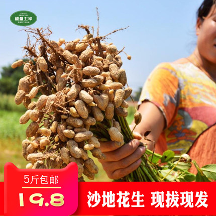 8月14日更新【万能白菜价】的图片 第7张