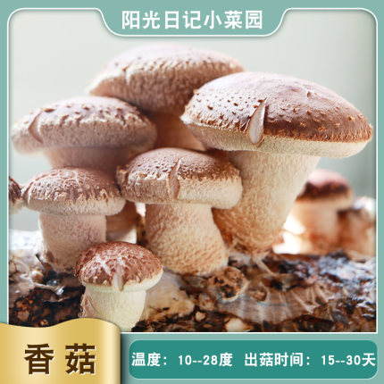 2020年11月27日更新【万能白菜价】的图片 第117张