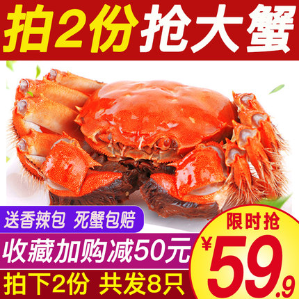 8月14日更新【万能白菜价】的图片 第18张