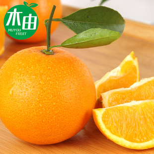 双11手机11元秒杀,各类100元优惠券1元秒杀,指