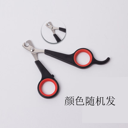 2020年10月27日更新【万能白菜价】的图片 第5张