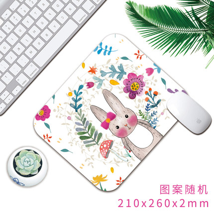 2021年2月24日更新【万能白菜价】的图片 第119张