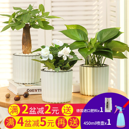 8月14日更新【万能白菜价】的图片 第197张