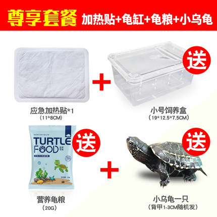 2020年10月24日更新【万能白菜价】的图片 第102张